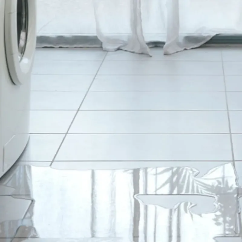 Appliance Leak Cleanup in Corning, AR